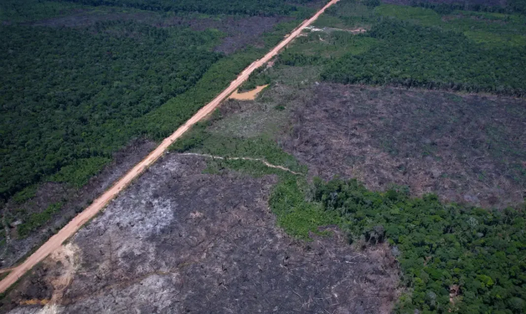 Desmatamento tem novo recorde mínimo em 2025 na mata atlântica e no pampa Desmatamento tem novo recorde mínimo em 2025 na mata atlântica e no pampa