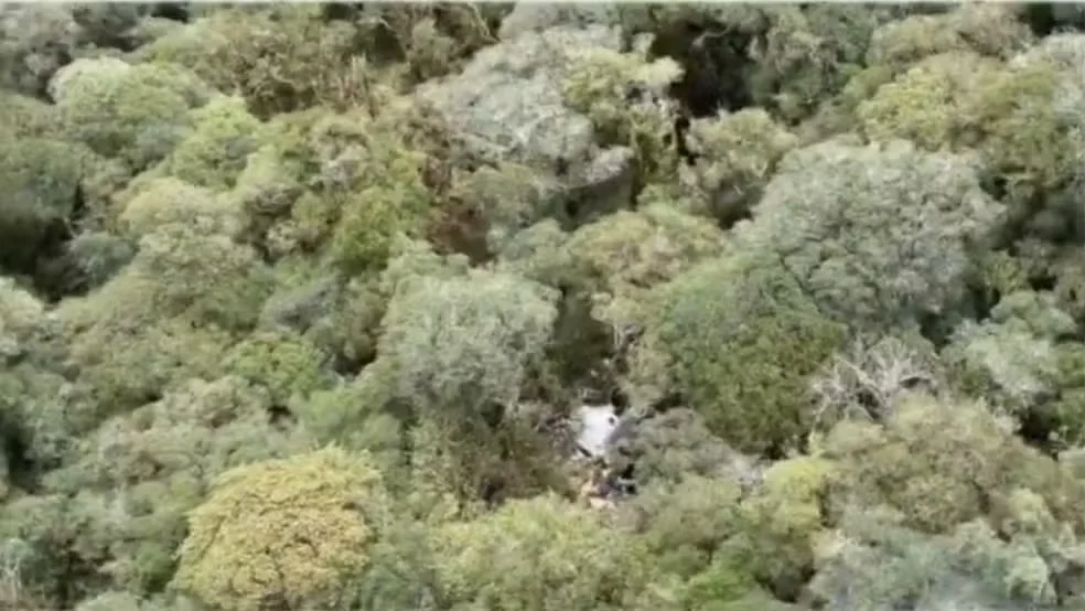 Destroços de helicóptero com cantor Rick são encontrados; cinco corpos são localizados Destroços de helicóptero com cantor Rick são encontrados; cinco corpos são localizados
