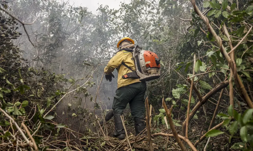 Ministro do Meio Ambiente diz que incêndios no Amazonas indicam ação criminosa Ministro do Meio Ambiente diz que incêndios no Amazonas indicam ação criminosa