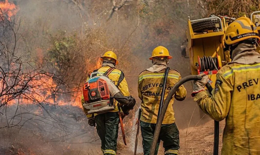 FAB envia cargueiros militares para reforçar combate a incêndios florestais no Amazonas FAB envia cargueiros militares para reforçar combate a incêndios florestais no Amazonas