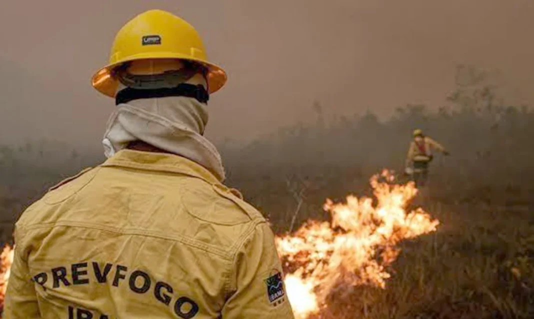 Focos de incêndio no Amazonas diminuem após ação de força-tarefa Focos de incêndio no Amazonas diminuem após ação de força-tarefa
